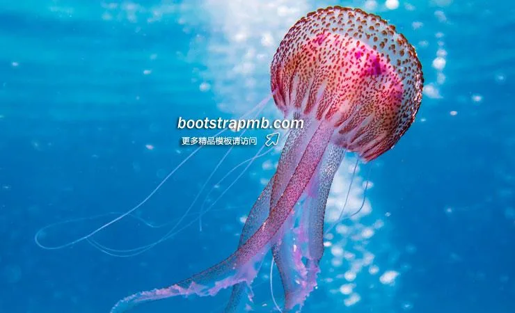 问鼎娱乐，您的综合互娱旗舰 - 问鼎娱乐官网